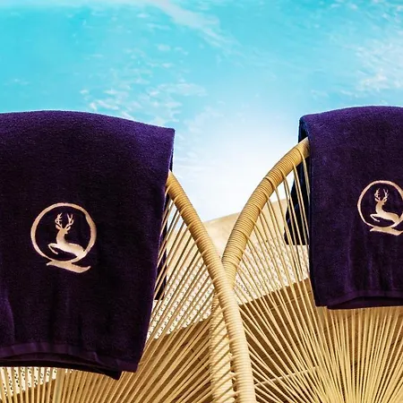 Agrinho & Geres Hotel Valdosende