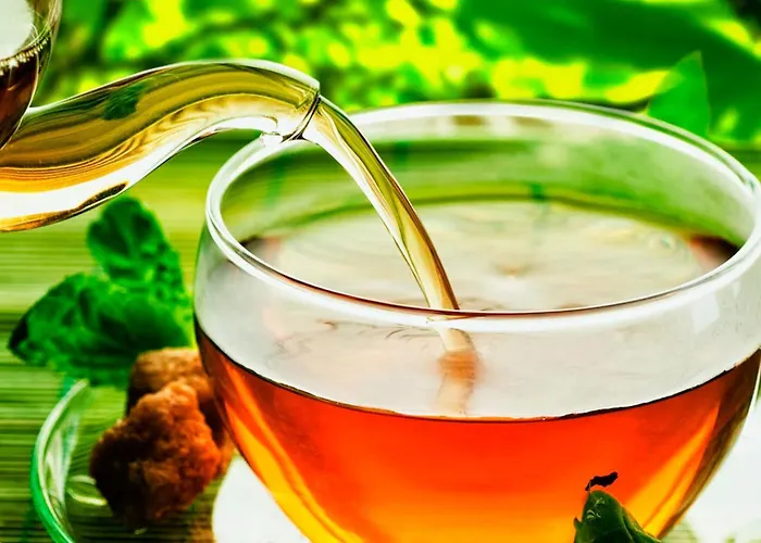 Agrinho Suites&spa Gerês